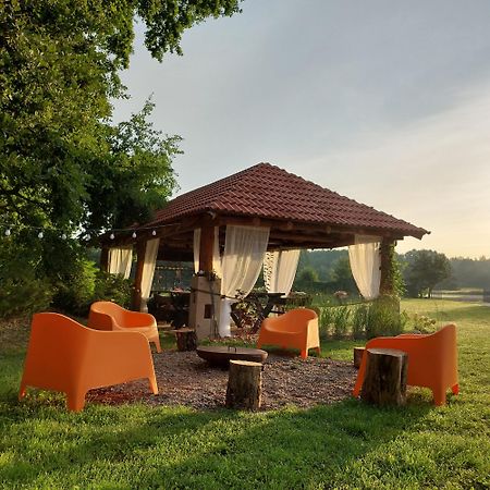 Pensjonat Poranna Rosa Grabowiec  Exterior foto